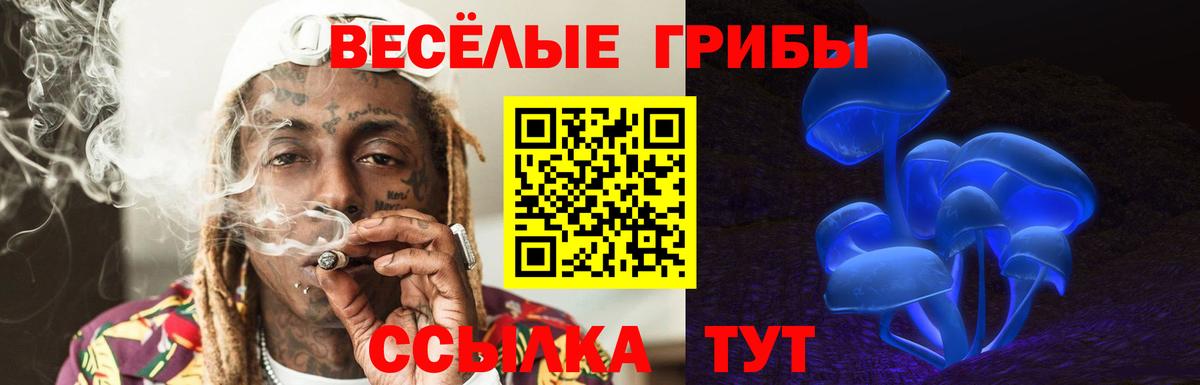 Галлюциногенные грибы прущие грибы Миллерово