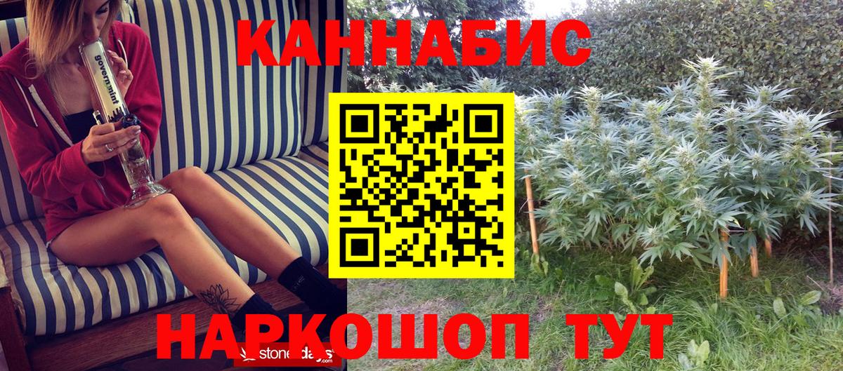 МАРИХУАНА сатива Миллерово